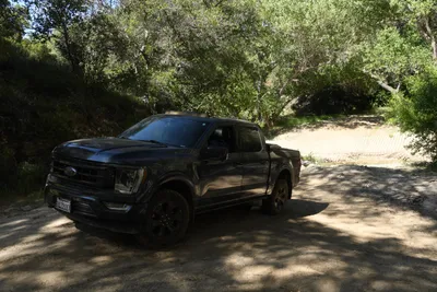 DSC_5929 (Large).JPG